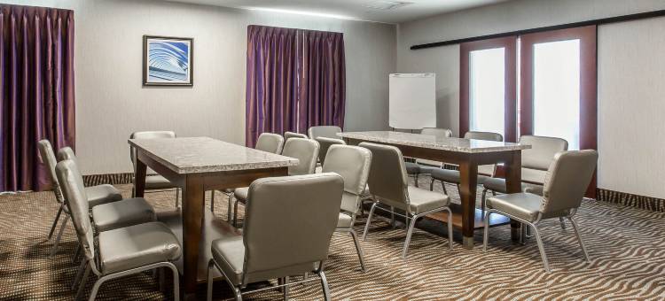 舒适套房酒店-拉斯克鲁塞斯25号州际公路北(Comfort Suites of Las Cruces I-25 North)图片