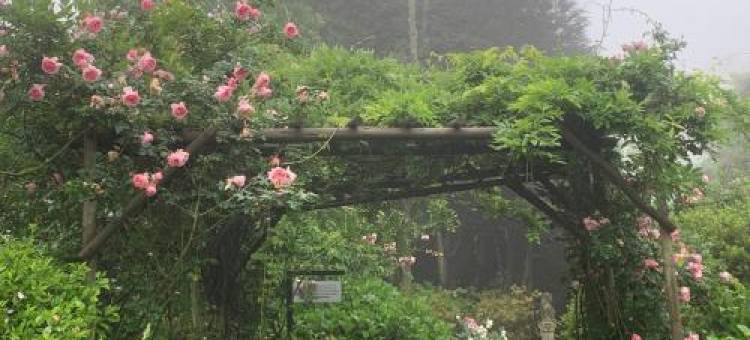 库伊斯坦农场小屋(Kuhestan Farm Cottages)图片