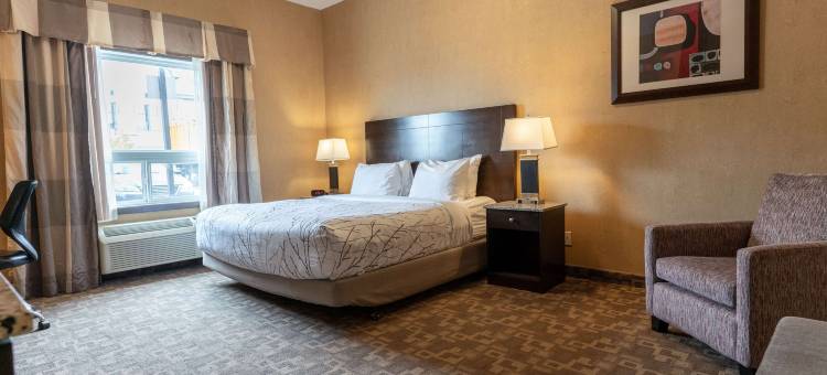 南埃德蒙顿贝斯特韦斯特优质套房酒店(Best Western Plus South Edmonton Inn  Suites)图片