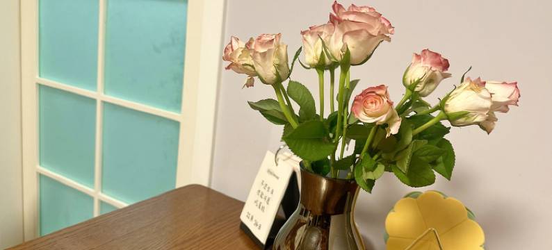 吾心安处是吾乡公寓(逸夫路分店)图片