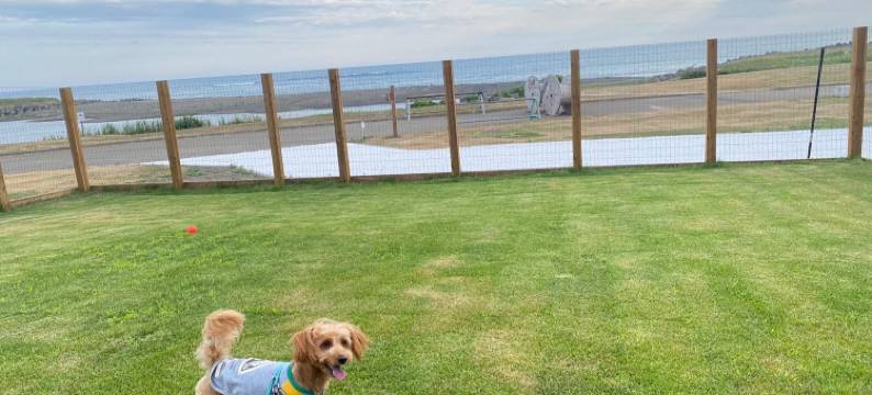 昆布温泉藏三旅馆(Kurazou)图片