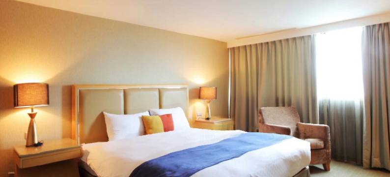 宜兰晶桦商务饭店图片