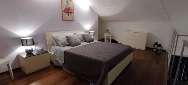 Home Holiday 304图片