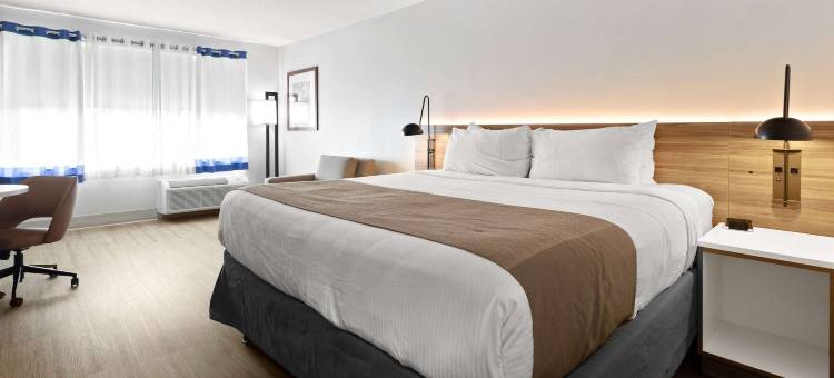 马纳萨斯温德姆花园酒店(Wyndham Garden Manassas)图片