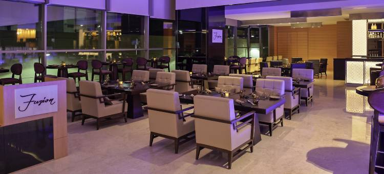 浦那纳加尔路诺富特酒店(Novotel Pune Nagar Road)图片