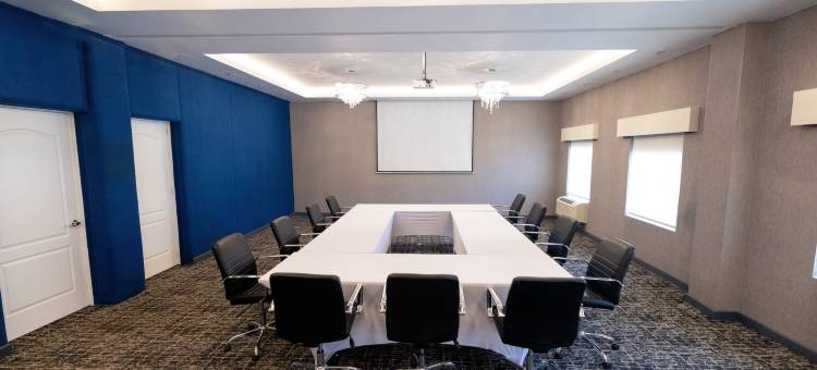 voco Saltillo Suites图片