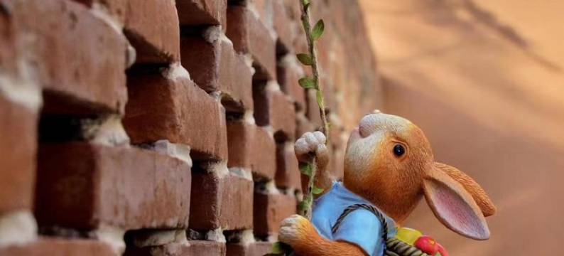 青青会馆度假别墅(涝洼隧道分店)图片