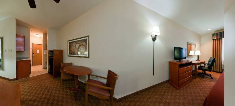 智选假日套房酒店阿比林(Holiday Inn Express & Suites ABILENE by IHG)图片