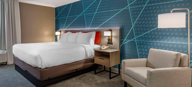 舒适酒店套房(Comfort Inn & Suites)图片