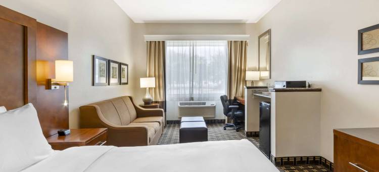 萨默维尔 - 查尔斯顿舒适酒店(Comfort Inn Summerville - Charleston)图片