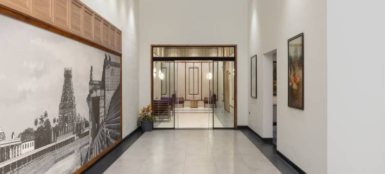 丁香库姆巴科南(Lilac Kumbakonam)图片