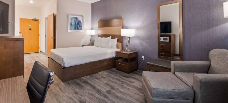 特温福尔斯贝斯特韦斯特优质酒店(Best Western Plus Twin Falls Hotel)图片