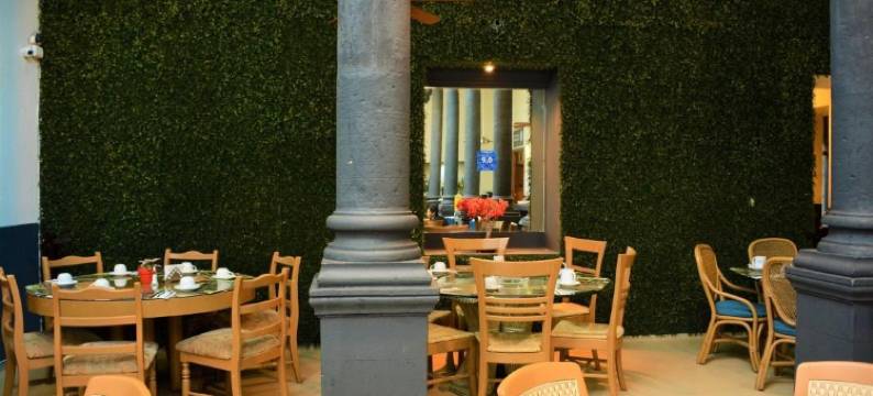 商务级萨莫拉中心酒店(El Hotel Business Class - Zamora Centro)图片