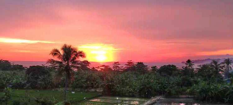 Panorama Beach Resort图片