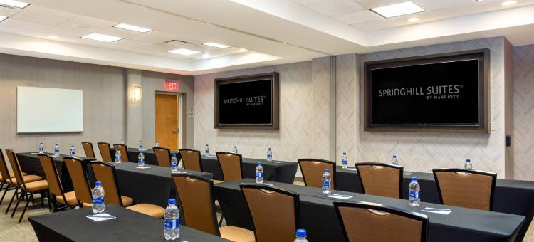 迈阿密机场南SpringHill Suites 酒店(SpringHill Suites by Marriott Miami Airport South Blue Lagoon Area)图片