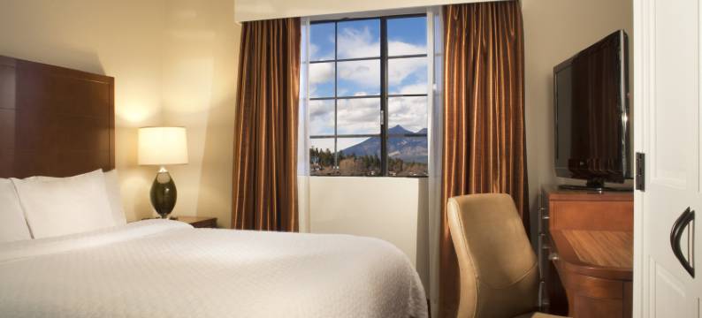 费拉格尔斯塔夫希尔顿大使套房酒店(Embassy Suites by Hilton Flagstaff)图片