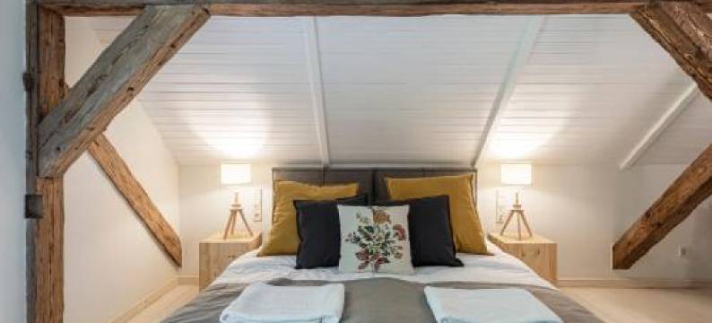 Zyplių Dvaro Oficina Viešbutis图片