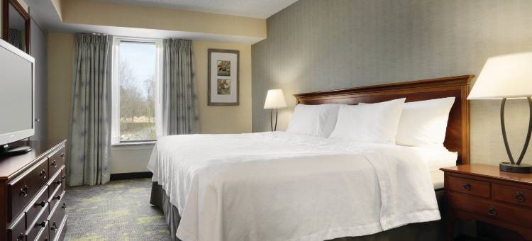 威廉斯堡Homewood套房酒店(Homewood Suites by Hilton Williamsburg)图片