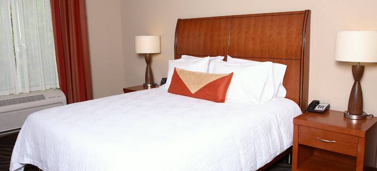 切萨皮克萨福克希尔顿花园酒店(Hilton Garden Inn Chesapeake/Suffolk)图片