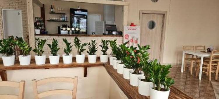普利姆酒店(Hotel Prim)图片