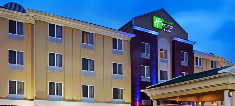 智选假日套房酒店芝加哥南兰辛(Holiday Inn Express & Suites Chicago South Lansing)图片