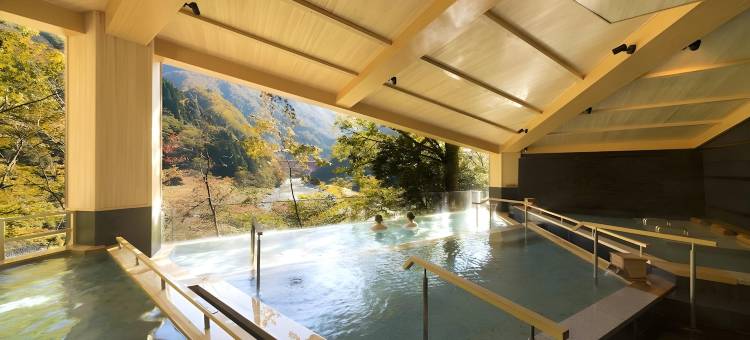 黑部市宇奈月杉乃井溫泉Yamanoha酒店(Kurobe Unazukionsen Yamanoha)图片