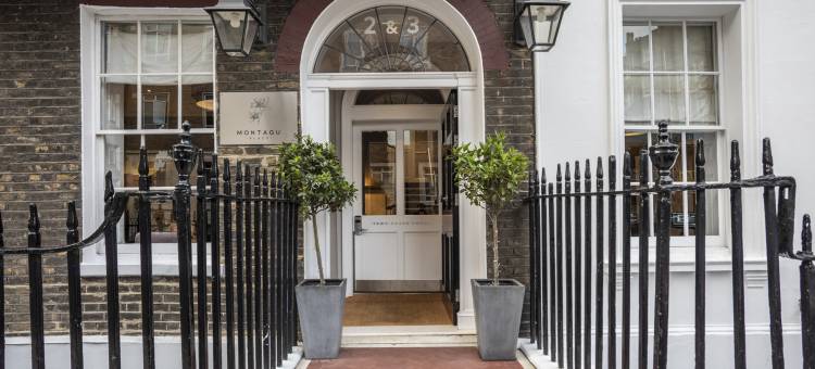 蒙塔古宫酒店(Montagu Place Hotel)图片