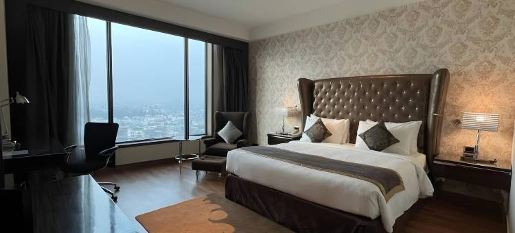 新德里帕池豪尔丽笙酒店(Radisson Hotel New Delhi Paschim Vihar)图片