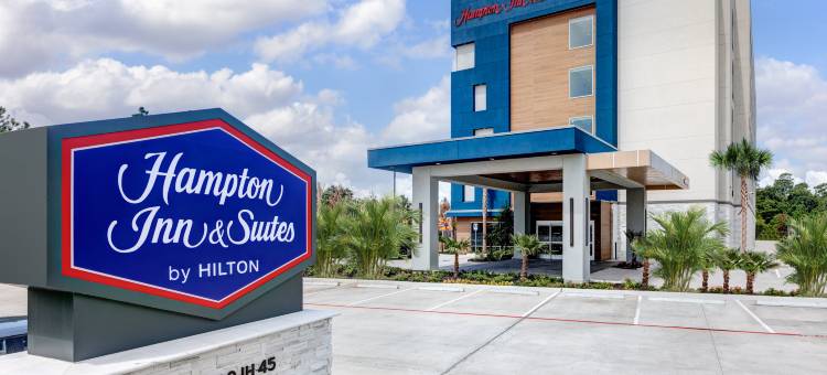 谢南多厄伍德兰希尔顿欢朋酒店(Hampton Inn & Suites by Hilton Shenandoah the Woodlands)图片