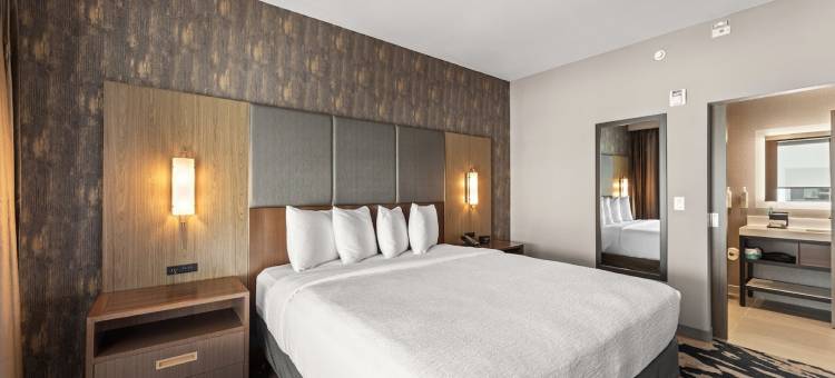 欧文拉斯科利纳斯希尔顿使馆套房酒店(Embassy Suites by Hilton Irving Las Colinas)图片