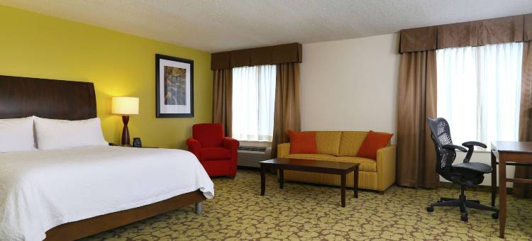 东坦帕/布兰登希尔顿花园酒店(Hilton Garden Inn Tampa-East/Brandon)图片