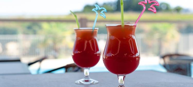 Brit Hotel Confort Alexia 拉苏特雷纳(Brit Hotel Confort Alexia - la Souterraine)图片