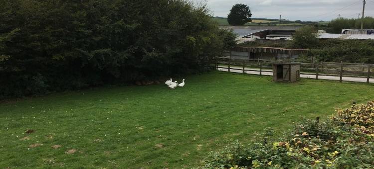 穆勒科特农场酒店(Mullacott Farm)图片