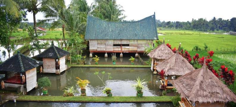 查哈亚特特巴图旅馆(Lesehan Cahaya Tetebatu Inn Syariah at Desa Wisata)图片