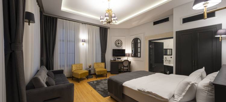 伊斯坦布尔弗曼港口酒店(Ferman Port Hotel - Special Category)图片