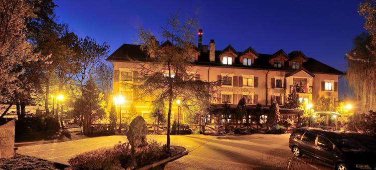希隆斯克地区谢米亚诺维采瓦坎扎钻石酒店(Hotel Diament Vacanza Katowice - Siemianowice)图片