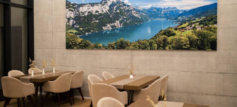 Glarnerland市酒店(City Hotel Glarnerland)图片