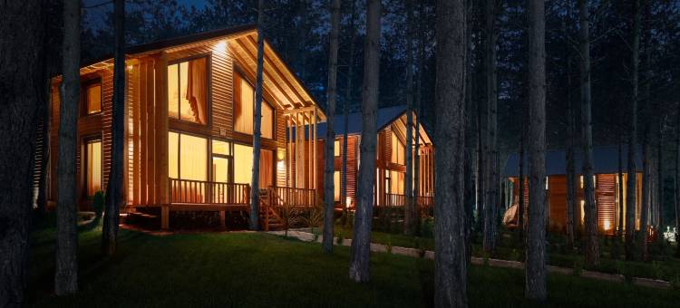 和谐绿色村庄度假村(Harmony Green VILLAGE Resort)图片