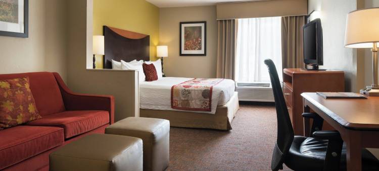 图森北/奥罗谷伐尔万枫套房酒店(Fairfield Inn & Suites Tucson North/Oro Valley)图片