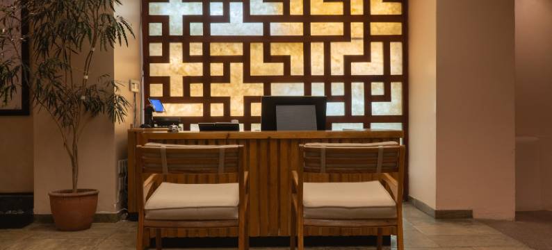 卡萨德尔阿尔玛精品酒店和spa(Casa del Alma Hotel Boutique & Spa)图片