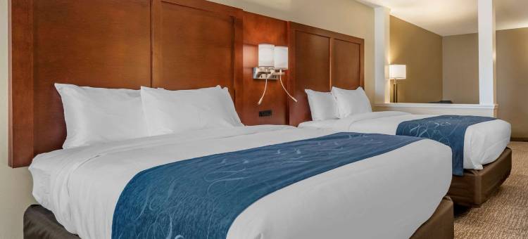 代托纳比奇市赛道舒适套房酒店(Comfort Suites Daytona Beach-Speedway)图片