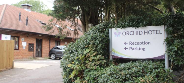 Orchid Epsom, Sure Hotel Collection by Best Western图片