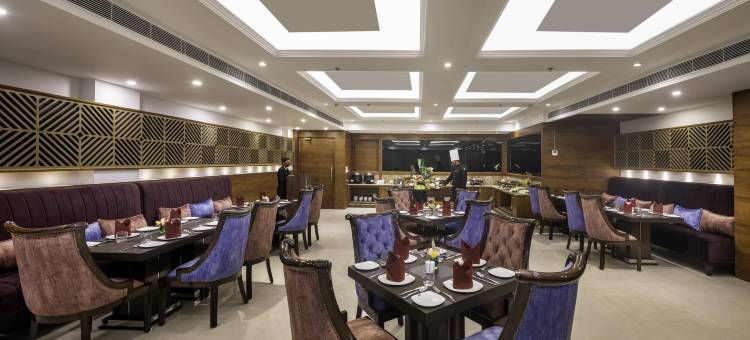 齐拉克普尔洛德斯旅馆(Lords Inn Chandigarh Zirakpur)图片