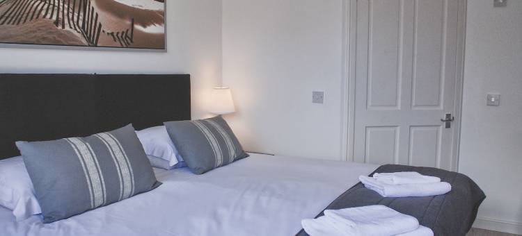 米勒之家(Miller House Courtyard)图片