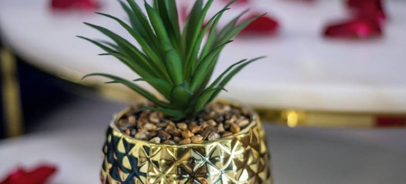 套房按摩浴缸(Suite Jacuzzi)图片