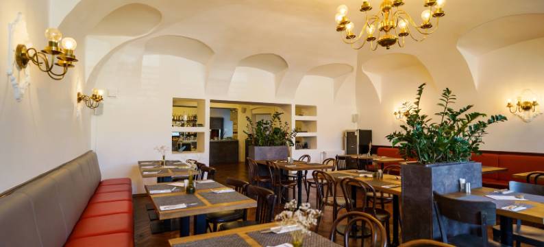 乌拉布特酒店(Hotel U Labutě)图片