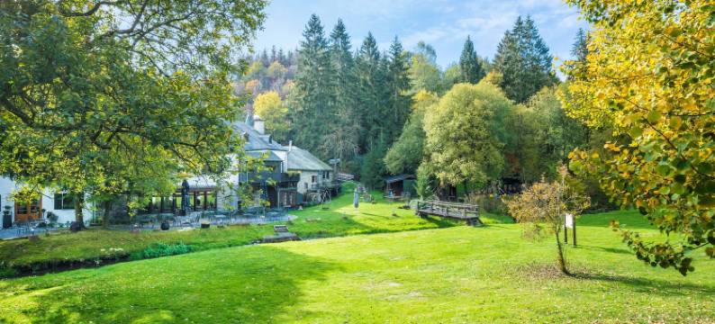 多迈纳都穆林达瑟尔博恩酒店(Domaine du Moulin d'Asselborn)图片