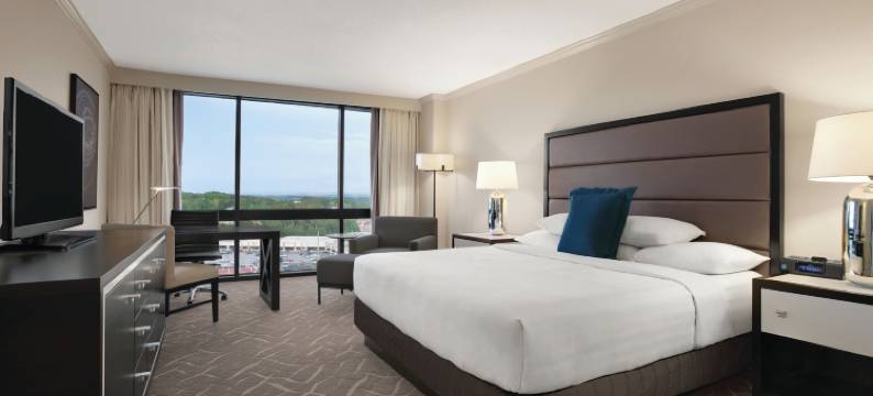 伯明翰凯悦酒店 - 温佛瑞酒店(Hyatt Regency Birmingham the Wynfrey Hotel)图片