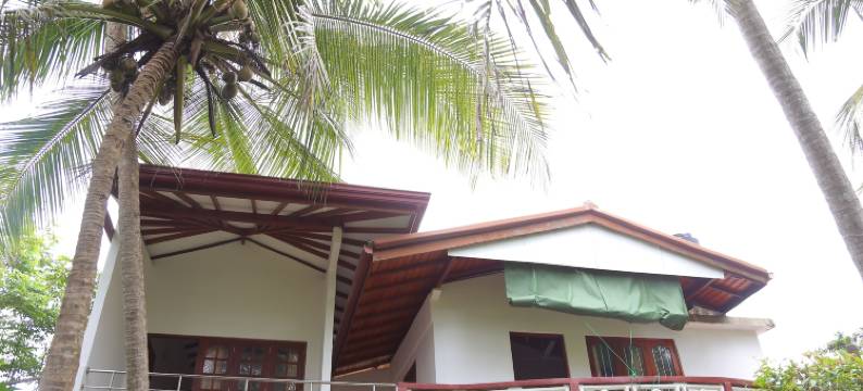 奥山达客人(Osanda Guest)图片