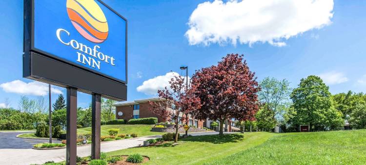 舒适酒店(Comfort Inn)图片